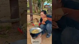 Лучшее видео с послушными животными: СокЯа, Фао и ТоТо &mdash; гармоничное и весёлое видео, которое зас...