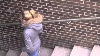 Hillary Montage