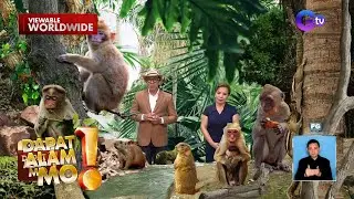 Mpox virus, unang natuklasan sa mga unggoy at African rodents | Dapat Alam Mo!