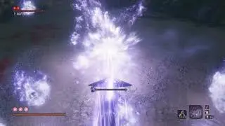 Sekiro - Shichimen Warrior Cheese