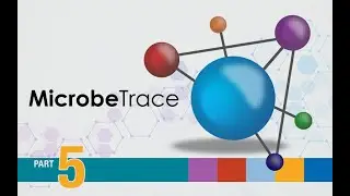 Using MicrobeTrace - 3D network view