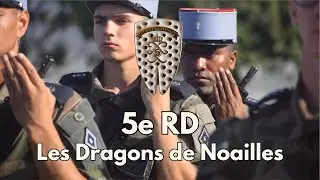 5e RD - Les Dragons de Noailles - Chant Militaire 💪🇫🇷 #armeefrancaise #militaire #france #army