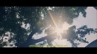 Akinetopsia