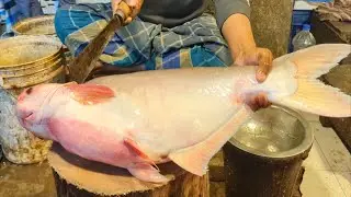 Amazing Giant Pangas Fish Cutting Skills In Bangladesh Local Fish Market | Fish Cutting Skills