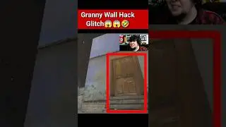 Granny Wall Hack Glitch 😱🤣 Granny 1 #shorts #viral #granny #glitch #horrorgaming #slendrina #funny
