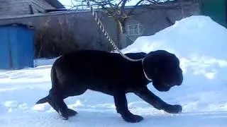 MOV04610