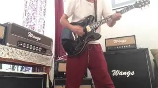 Wangs amplifier Wangs amps VT-50