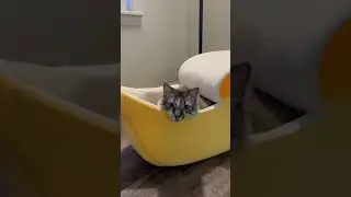 Cat House Bed &ndash; Cozy Banana-Shaped Bed for Cats & Kittens