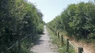 Лагуна Эшмориш. Пешеходная дорожка на пути к пляжу. #portugal #travel #attractions #nature