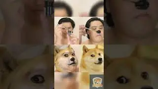 Cheems dog | memes Dog | Unknown fact |Do anything |