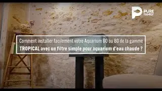 Installez votre aquarium (60 ou 80) Pure Family avec un filtre simple à eau chaude, avec Jardiland 🐠