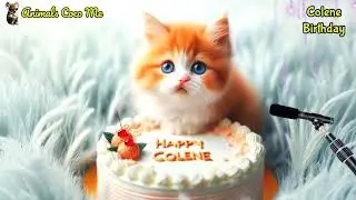 COLENE HAPPY BIRTHDAY SONG WITH NAMES | Adorable Cute Cat 😺