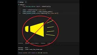 python remove audio from mkv then change to mp4 format using MoviePy