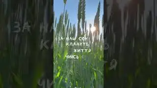 #україна #ukraine #котик #мир #peace #warukraine #зсу #kyiv #кот #кава