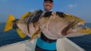 lshing training; Trying to catch the Big sherbet #viral#fishing #viralvideo /