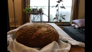 ASMR  |  Making Sourdough Bread