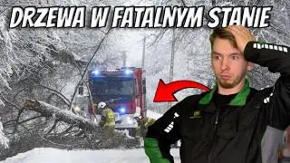 Ścinka NIEBEZPIECZNYCH DRZEW obok DOMKÓW