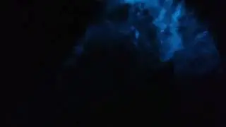 Oman bioluminescent plankton Bandar Al khairan