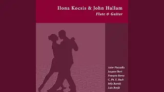 Romanian Folk Dances, Sz. 56: III. In One Spot (Arr. for Flute & Guitar)