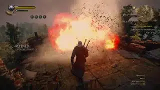 Wilhelm Scream | The Witcher 3: Wild Hunt