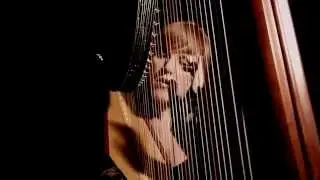 inside oak - harp and soul - ANNE - vanschothorst