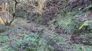 Ravenscar railway tunnel