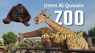 Umm Al Quwain Zoo യിലെ കാഴ്ച്ചകൾ | UAE യിൽ കുടുംബസമേതം സമയം ചിലവഴിക്കാൻ പറ്റിയ സ്ഥലം #zoo