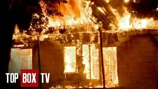 Cat Saves Woman From Deadly fire - Animal Miracles 103 - Cat on the Night Highway