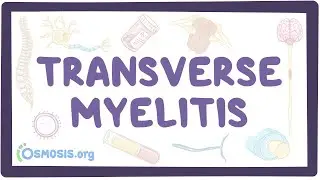 Transverse myelitis - an Osmosis Preview