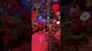 Bellagio Conservatory Decorated for Chinese New Year