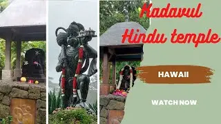 Hindu temple in Hawaii (Kauai)  vlog.!! Hindu kadavul Hindu temple Kauai & Rudraksha trees.
