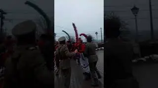 căluți de la creștinești jud botosani 2018(3)
