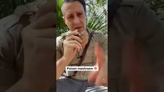 Ate a poison mushroom? Do this&hellip; #survival #health