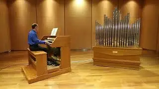 Invention 15, BWV 786 in B minor - Alberto Firrincieli, organ