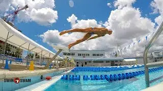 HOW TO HAVE A WORLD CLASS SWIM START