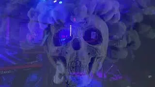 Vultures / Dead Space Revival / Live 11.21.24 The Venice West