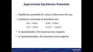 02. Physiology - Excitable Tissue - lonic Equilibrium and Resting Membrane Potential