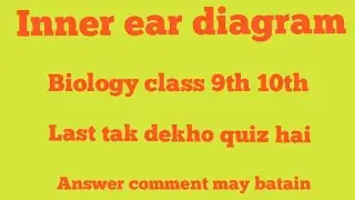 Inner Ear Diagram | Human Ear Drawing for Students | Science Quiz