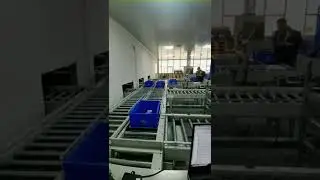 Automated Logistics Express Conveyor