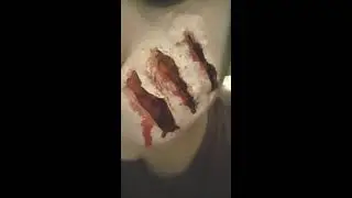 DAMN. CAT SCRATCHED ME!! (SFX MAKEUP/ HALLOWEEN MAKEUP) (2019)