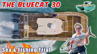 Goliath Grouper & Tuna on the 30ft Bluecat Catamaran