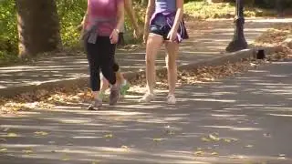 Go for a walk! It'll boost your immune system and more