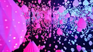Live: Experience an immersive, naked-eye 3D exhibition in Chengdu, China