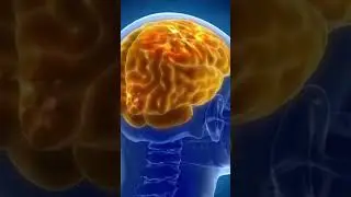 Boost Brain Power Naturally #healthyfood #food #didyouknow