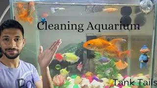 How to clean a Fish Aquarium | Simple and Easy Process for beginners