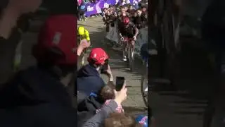 Rolig nu Mads! #gentwevelgem2025 #lidltrek #gentwevelgem #procycling #madspedersen #danmark #velo
