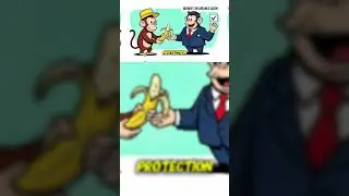 Insurance explained with monkey