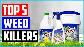 Top 5 Best Weed Killers in 2022 Reviews