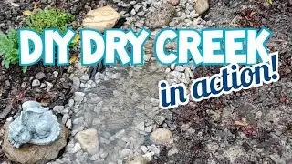 DIY Dry Creek Bed in Action! Rain ASMR