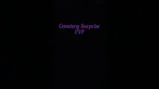 Cemetery Surprise EVP